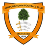 Ashford Town (Middx)