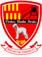Bedlington Terriers Football Club