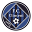 FC Clinceni