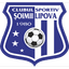 Șoimii Lipova