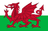 Wales U21