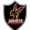 Burton Hornets