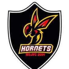 Burton Hornets