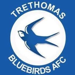 Trethomas Bluebirds AFC