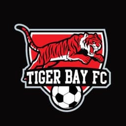 Tiger Bay