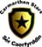 Carmarthen Stars