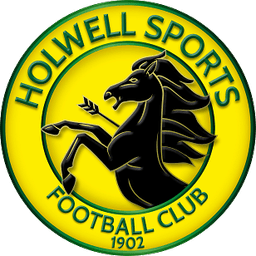Holwell Sports Football Club