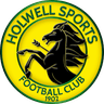 Holwell Sports