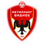Metallurg Vidnoye
