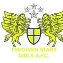 Treowen Stars