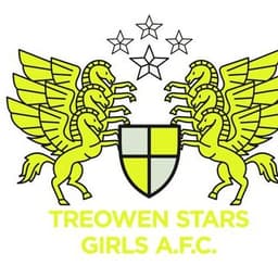 Treowen Stars