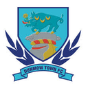 Dunmow Town