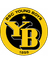 Young Boys U19