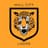 Hull City W