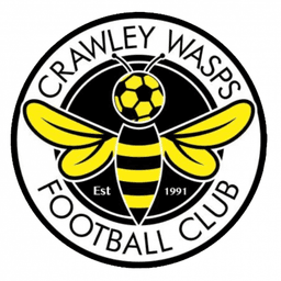 Crawley Wasps W