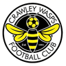 Crawley Wasps W