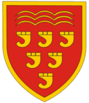 Keynsham Town
