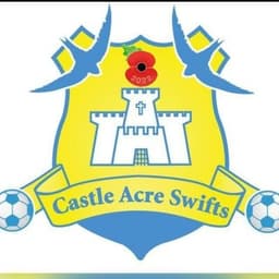 Castle Acre Swifts