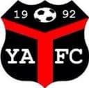 Ynyshir Albions