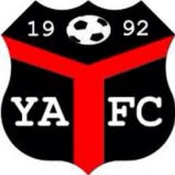 Ynyshir Albions