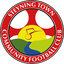 Steyning Town Community