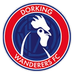 Dorking Wanderers B