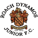Roach Dynamos