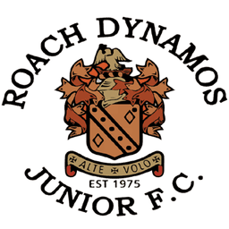 Roach Dynamos