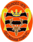Gillingham Town