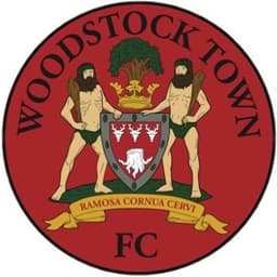 Old Woodstock Town
