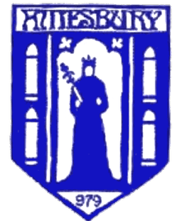 Amesbury Town Football Club