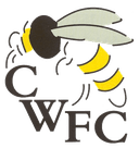 Chalfont Wasps
