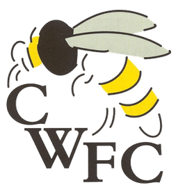 Chalfont Wasps