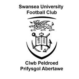 Swansea University