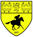 Newmarket Town