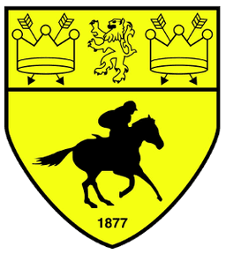 Newmarket Town Football Club