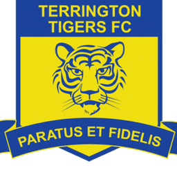 Terrington Tigers Youth