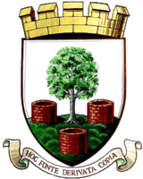 Wells City Football Club
