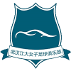 Wuhan Jiangda W