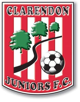 Clarendon Juniors