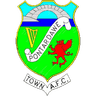 Pontardawe Town