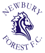 Newbury Forest Football Club