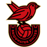 Bridgwater United W