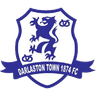 Darlaston Town (1874)