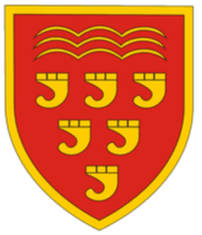 Keynsham Town Women