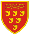 Keynsham Town W