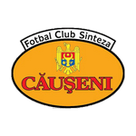 Sinteza Căuşeni