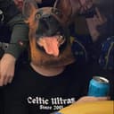 Pilou Brst