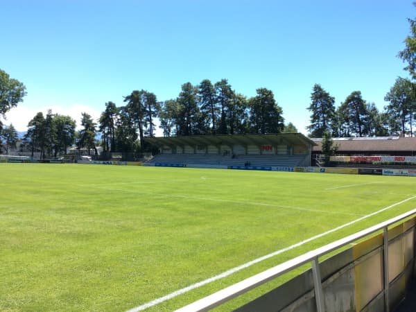 Waldstadion Hard