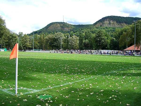 Ernst-Abbe-Sportfeld Platz 2